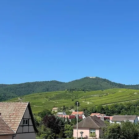 A2 Pas De Colmar Terrasse,Parking Apartment Wintzenheim Exterior photo