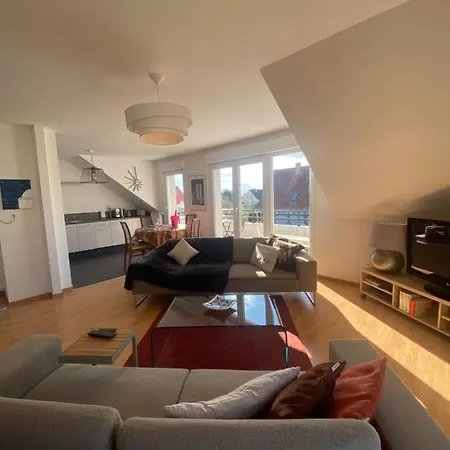 A2 Pas De Colmar Terrasse,Parking Apartment Wintzenheim Exterior photo