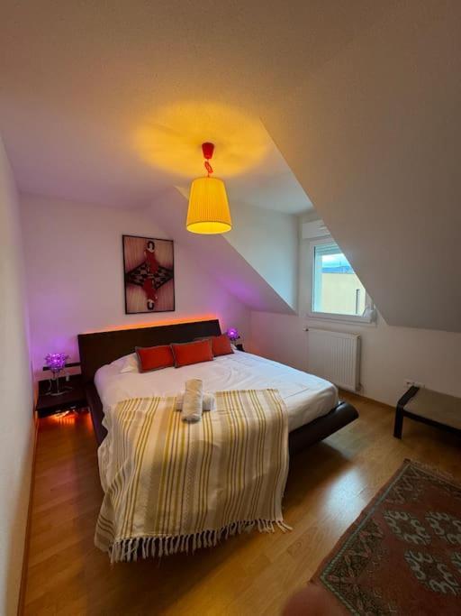 A2 Pas De Colmar Terrasse,parking Apartment Wintzenheim
