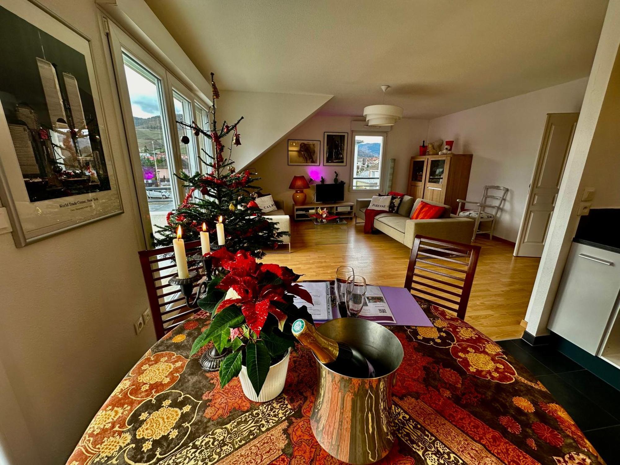 Apartment A2 Pas De Colmar Terrasse,parking Wintzenheim